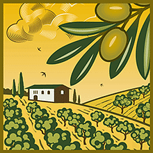 Rodríguez y Romero / Branding / Packaging . Een project van  Br, ing en identiteit, Film, video en televisie, Productontwerp, Grafisch ontwerp, Fotografie y Packaging van Cecilia Rodríguez Romero - 26.01.2012