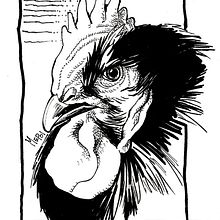 Roosters (Gallos). Un proyecto de Ilustración tradicional de Martín Enrique Pelozo - 26.10.2014