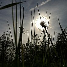 Eclipse. Un projet de Photographie de Antonio Jimenez Rivas - 15.04.2013