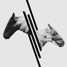 Two sides. Un proyecto de Diseño, Diseño gráfico, Fotografía e Ilustración tradicional de Lynn Design - 28.01.2015