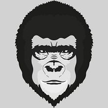 Kowalski Projects/Logo-Character Design / MONKEY... Br, ing, Identit, Design, and Traditional illustration project by Francisco Cacenaves - 01.29.2015