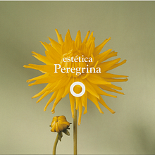 Diseño logotipo centro de estética. Design, and Graphic Design project by Nati Morales tosar - 01.31.2015