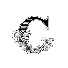 Cacatúa. Br, ing, Identit, Graphic Design, and Traditional illustration project by Óscar Lorenzo - 02.02.2015