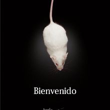 Apple Victims Project. Design, and Marketing project by Berta López Fernández - 05.31.2009