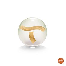 T logo. Br, ing & Identit project by Paco Martos - 02.04.2015