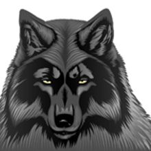 Lobo Ein Projekt aus dem Bereich Traditionelle Illustration von Nerea Nieto - 04.01.2012