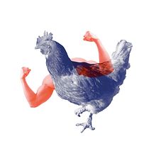 Aves de Gimnasio. Design, Graphic Design, and Traditional illustration project by Lourdes Lucena - 11.27.2014