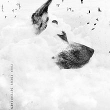 Heaven Dog.. Un proyecto de Fotografía e Ilustración tradicional de Lynn Design - 09.02.2015