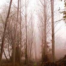 Intoxicació . Seni Rupa, Dan Fotografi proyek oleh Dori Barranco Cabrerizo - 02.16.2015