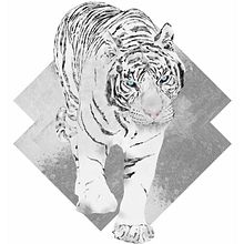 White Tiger. Un projet de Design graphique et Illustration traditionnelle de Ferran Sirvent Diestre - 14.02.2015