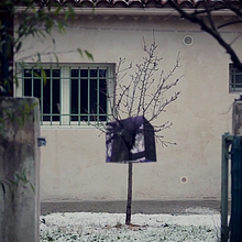 Cubo. Animation, and Video project by Samuel Domingo - 02.18.2015