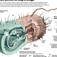 Superbacterias. Information Design, Editorial Design, and Traditional illustration project by Adolfo Arranz - 01.21.2015