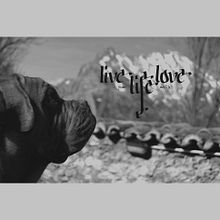 Live your Live with Love. Writing, T, and pograph project by Miguel Morán Honrado - 02.25.2015