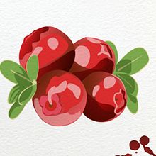 Ilustración para Packaging. Un proyecto de Ilustración tradicional y Packaging de Alicia Carlos Olleta - 25.02.2015