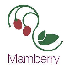 Mamberry · packaging. Un proyecto de Dirección de arte y Packaging de Alicia Carlos Olleta - 25.02.2015