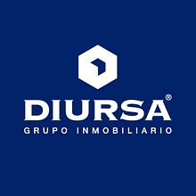 DIURSA Grupo Inmobiliario. Br, ing & Identit project by Alex G. Santana - 03.01.2015