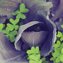 Familia Hevilla. Un proyecto de Fotografía de marinamluna - 31.10.2014