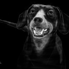 Ilustración digital con Photoshop y Wacom. Un proyecto de Bellas Artes, Diseño gráfico, Ilustración tradicional y Pintura de Arancha Bonachera - 07.03.2015
