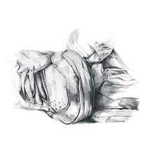 Zapatillas. Un proyecto de Ilustración tradicional de Olga Valeeva - 24.03.2014