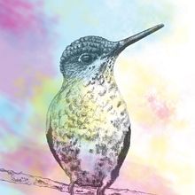 Dibujos a lápiz. Graphic Design, and Traditional illustration project by Núria Grau López - 03.08.2015