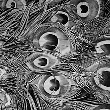 Realise the bird within in you . Desain & Ilustrasi tradisional proyek oleh Lucas Moraes - 03.09.2015