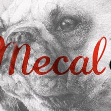 Mecal 17. Un progetto di Br, ing, Br, identit, Direzione artistica e Illustrazione tradizionale di Ramón Nicolás Sabater - 09.03.2015