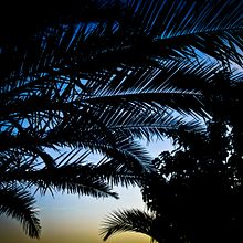 Night Summer. Un proyecto de Fotografía de Tomás Ángel Jiménez - 10.03.2015