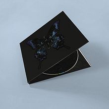 BlueChild, No Verás. Art Direction, Design, Editorial Design, Graphic Design, and Photograph project by Cristo Aleister - 05.10.2010