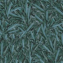 Hormigas/ PATTERN. Design, Interior Design, Editorial Design, Graphic Design, Traditional illustration, and Packaging project by Maria Pagola Domec - 03.11.2015