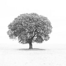 Landscape . Un proyecto de Fotografía de Toni García - 12.03.2015