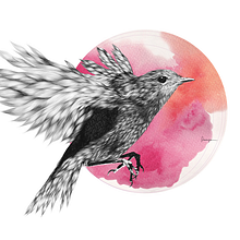 Furry Bird II . % Lucía Paniagua tarafından hazırlanan Geleneksel illüstras, Ve on projesi - 03.15.2015