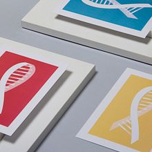 I Simposio Nacional Genómica Aplicada en Oncología - Fundación Quirón. Un proyecto de Br, ing e Identidad, Diseño y Eventos de Ludivine Dallongeville - 27.04.2015