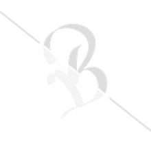 Mi proyecto de logotipo. Un proyecto de Br, ing e Identidad y Caligrafía de victor broch - 17.03.2015