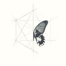 Process elements. Projekt z dziedziny Projektowanie graficzne, Trad, c, jna ilustracja, Grafika ed i torska użytkownika Guillermo Vázquez - 25.02.2015