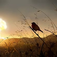 Atardecer nuclear Ein Projekt aus dem Bereich Bildende Künste, Traditionelle Illustration und Malerei von Jaime Sanjuan Ocabo - 28.03.2015