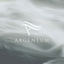 Argentum. Br, ing, Identit, Design, Editorial Design, and Web Design project by Sara García Vega - 03.31.2015