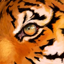 Animals - Ilustraciones. Un proyecto de Ilustración tradicional de Iris de la Mora - 03.04.2015
