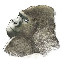 Álbum Ilustrado_Jane Goodall. Education, and Traditional illustration project by Sandra Uve - 10.03.2015