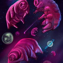Tardigrados. Un proyecto de Ilustración tradicional de Iris de la Mora - 03.04.2015