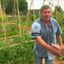 Cultivar da sus frutos. Un proyecto de Cine, vídeo, televisión y Post-producción fotográfica		 de Gara Caballero - 20.07.2014