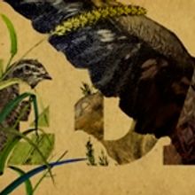 Veda abierta. Un proyecto de Ilustración tradicional y Motion Graphics de Santiago Liébana - 05.04.2015