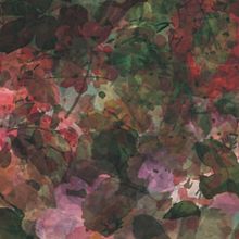 Nuevo/PATTERN. Un progetto di Design, Interior design, Design editoriale, Graphic design, Illustrazione tradizionale e Packaging di Maria Pagola Domec - 05.04.2015