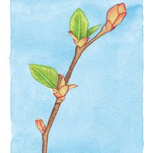 Página para TENMAG Marzo 2014. Un progetto di Illustrazione tradizionale di Ajo Galván - 28.02.2014