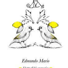 Ilustración Pattern. Un proyecto de Br, ing e Identidad, Caligrafía, Diseño editorial, Diseño gráfico e Ilustración tradicional de Marianela Grande - 06.04.2015