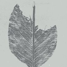 Mono. Cartel de concierto.. Un projet de Design graphique, Illustration traditionnelle , et Sérigraphie de Münster Studio - 07.04.2015