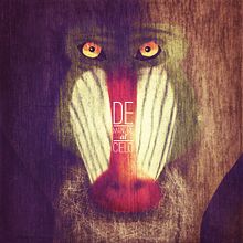 De mandril al cielo. Un progetto di Illustrazione tradizionale di Chencho Jiménez - 08.04.2015