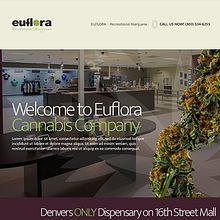 Euflora Ein Projekt aus dem Bereich Kunstleitung, Webdesign und UX / UI von Brian Colquhoun - 08.04.2015