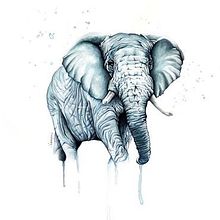 Elefante. Traditional illustration project by Sil Pons Caldero - 02.10.2014