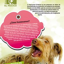 Flyer Asociación El Hocico. Un proyecto de Diseño gráfico de Linda Augusto - 27.03.2014