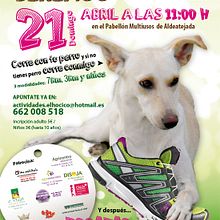 Cartel Canicross Benéfico. Un proyecto de Diseño gráfico de Linda Augusto - 16.04.2013